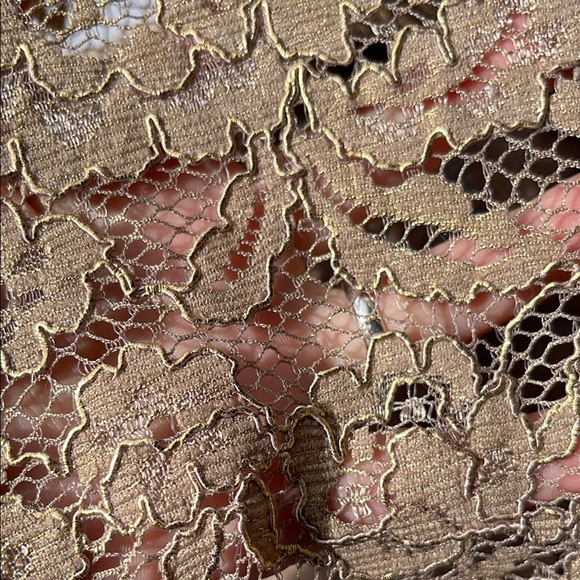 NWT Boden Elegant Lace Tan Skirt, size 2. - Picture 2 of 9